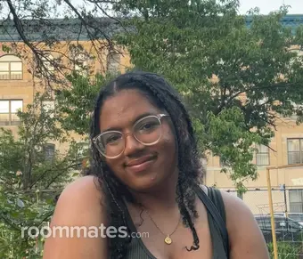 Roommate looking Minneapolis, MN, $800
