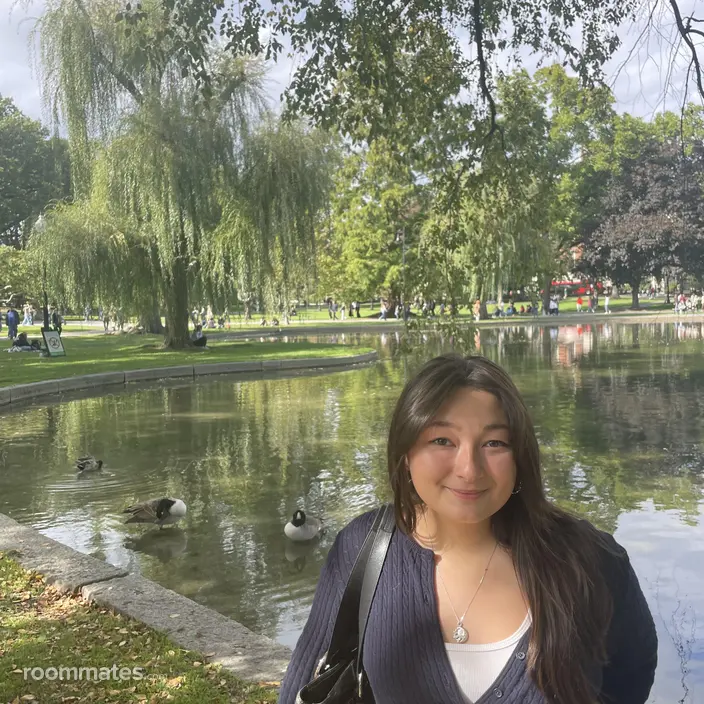 Roommate looking Boston, MA, $1500