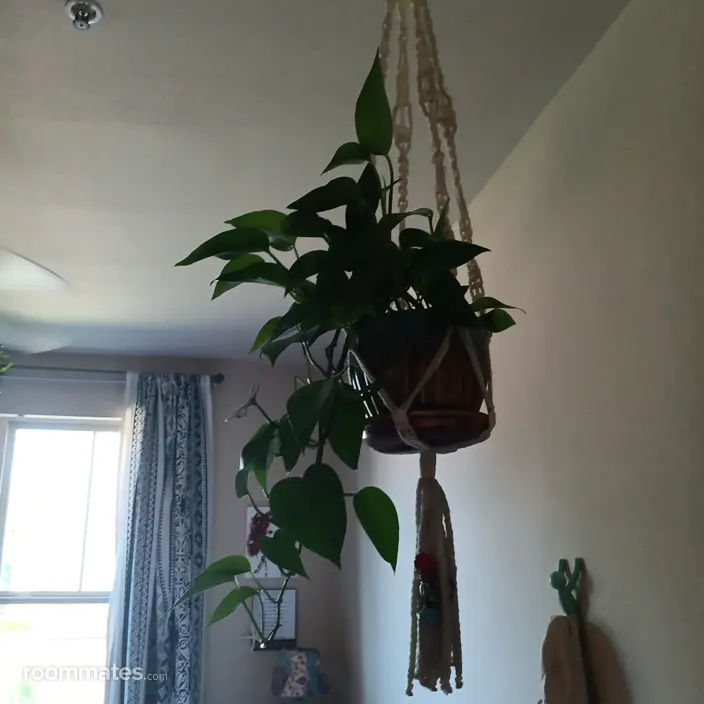 Room for rent in Rockwall, TX $350, apartment
