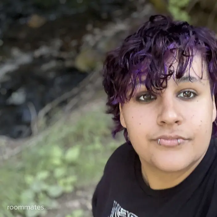 Roommate looking Elk Grove, CA, $600