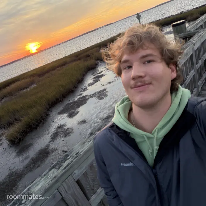 Roommate looking Ocean Pines, MD, $1000