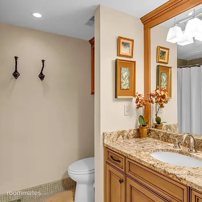Room for rent in Nashville, TN $1500, condo