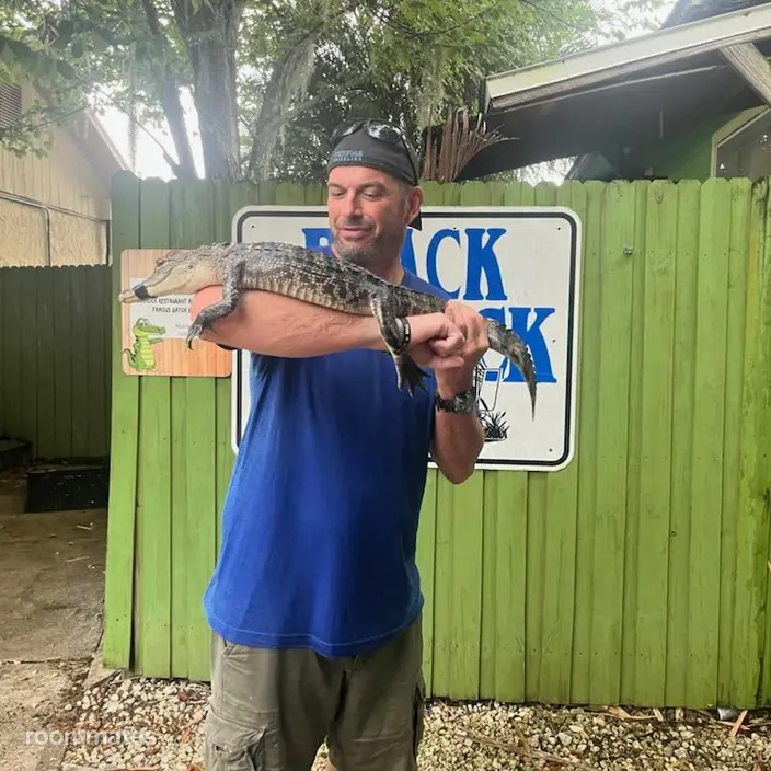 Roommate looking Leesburg, FL, $800