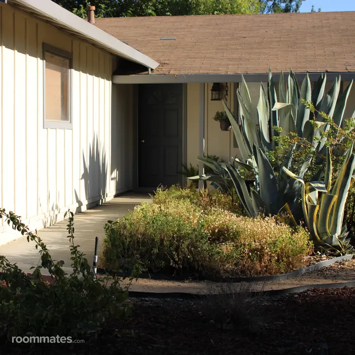 Room for rent in Davis, CA $850, house