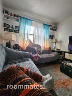 Room for rent in Brookfield, IL $700, apartment