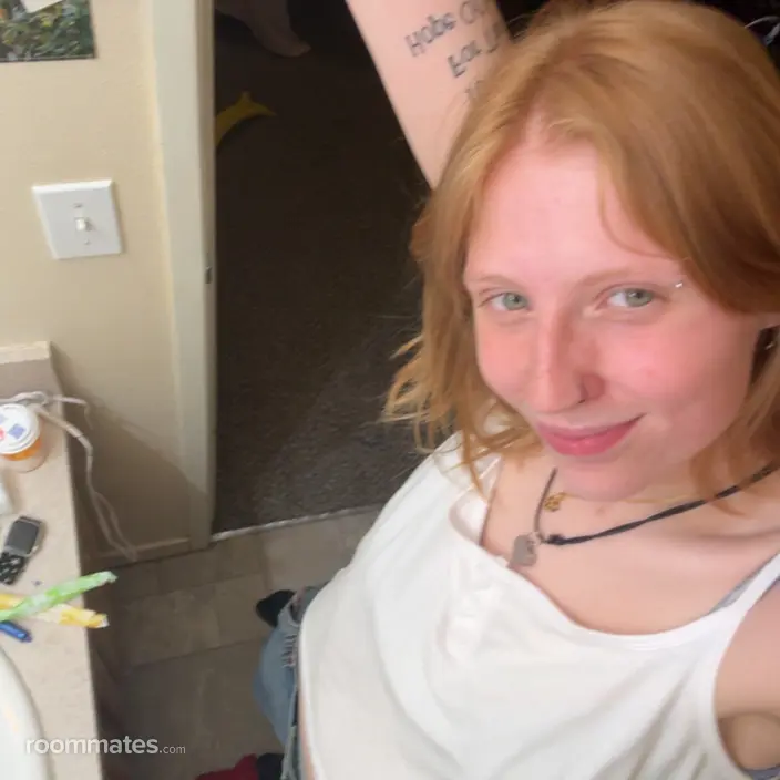 Roommate looking Battle Creek, MI, $700