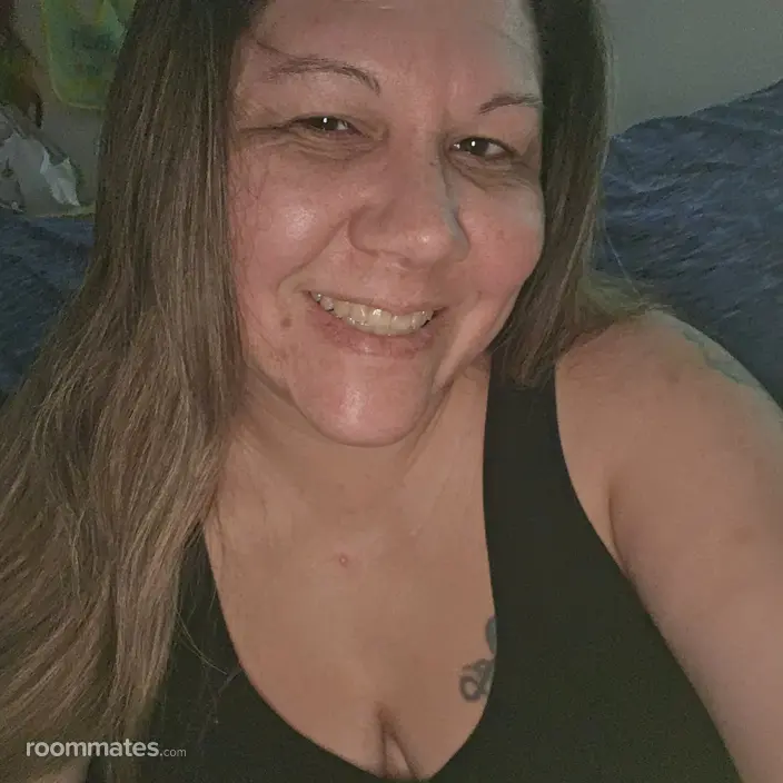 Roommate looking Deer Park, TX, $800