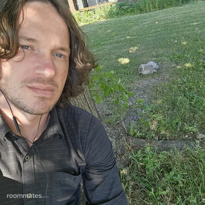 Roommate looking Milwaukee, WI, $500