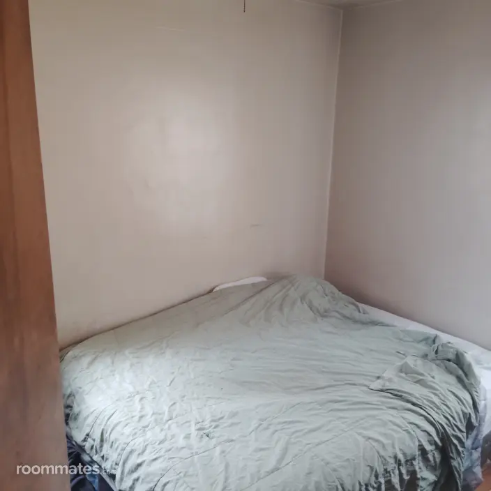 Room for rent in Detroit, MI $500, house
