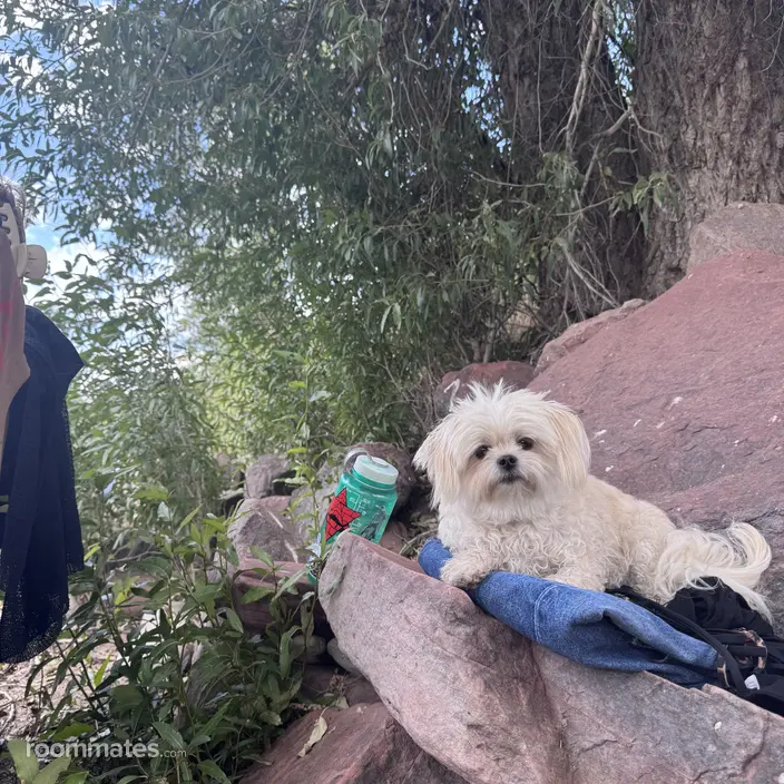 Roommate looking Carbondale, CO, $1700