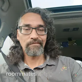 Roommate looking Eugene, OR, $700