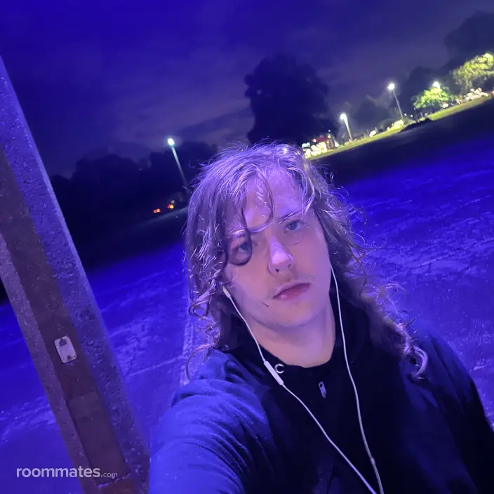 Roommate looking Springfield, MA, $1100
