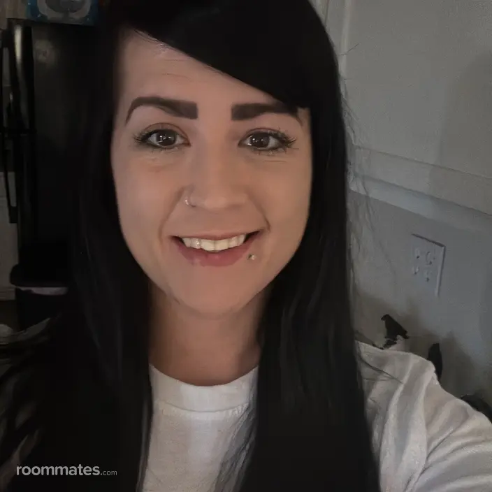Roommate looking Phoenix, AZ, $1000