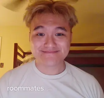 Roommate looking St. Peters, MO, $600