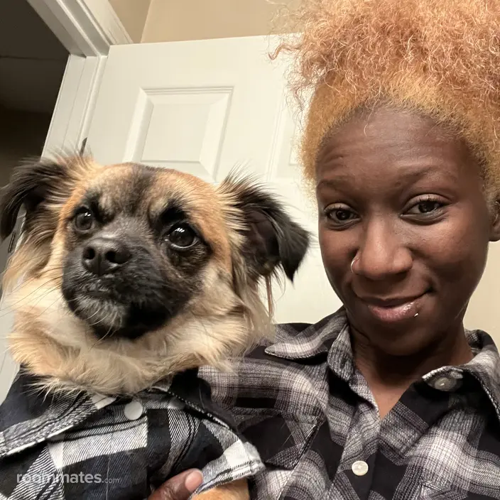 Roommate looking Boynton Beach, FL, $1300