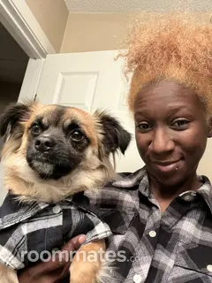 Roommate looking Boynton Beach, FL, $1300