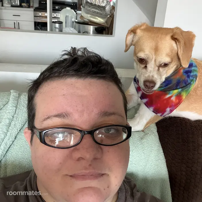 Roommate looking Rosedale, MD, $600