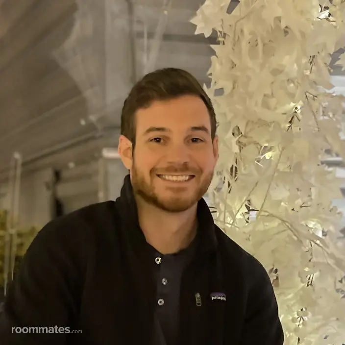 Roommate looking Manassas, VA, $1800