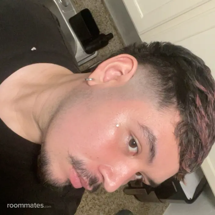 Roommate looking North Hollywood, CA, $1000