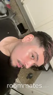 Roommate looking North Hollywood, CA, $1000