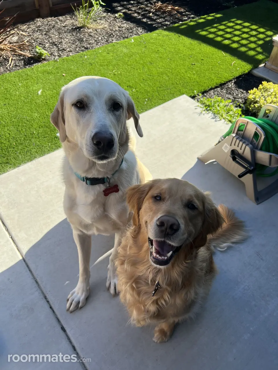 Profile photo 11 of 14