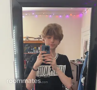 Roommate looking Ashburn, VA, $1600