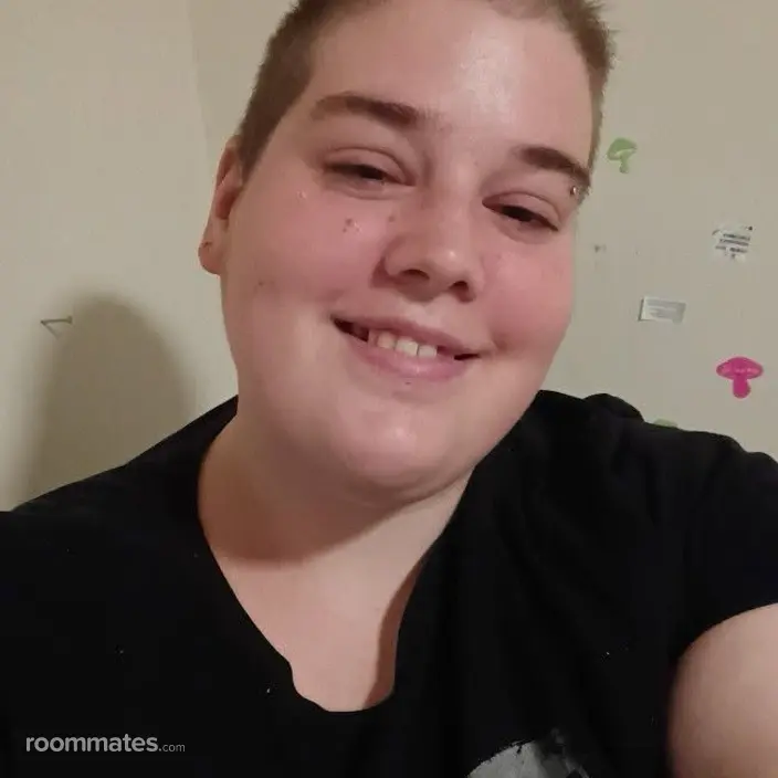 Roommate looking Binghamton, NY, $800