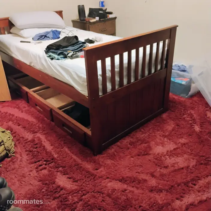 Room for rent in Clarksville, TN $600, other
