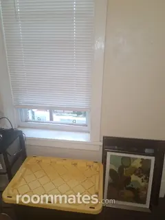 Room for rent in Chicago, IL $550, apartment