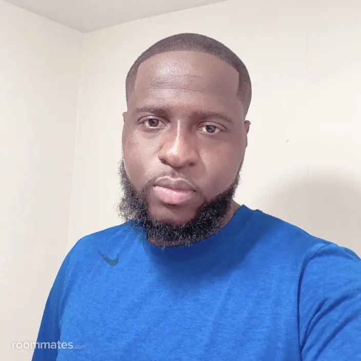 Roommate looking Brooklyn, NY, $700