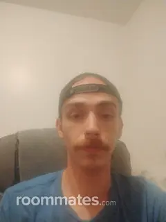 Roommate looking Worcester, MA, $800