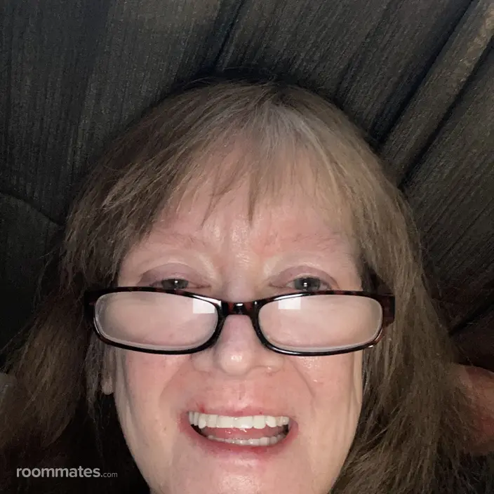 Roommate looking Warren, MI, $1100