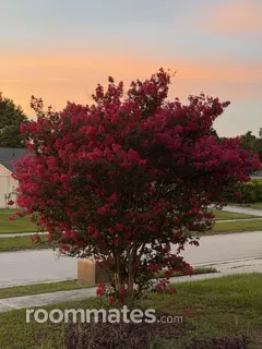 Room for rent in Valrico, FL $1200, house