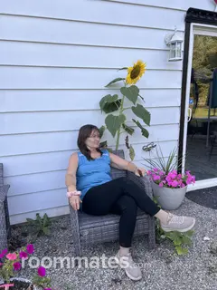 Roommate looking Homosassa, FL, $500