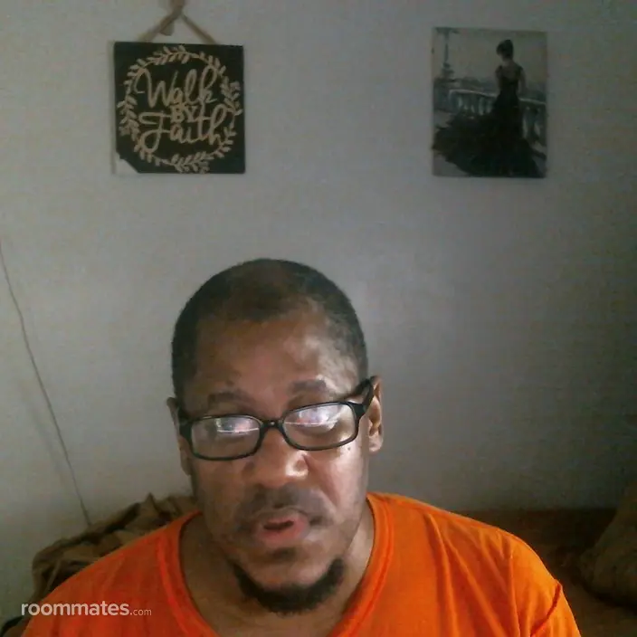 Roommate looking Allen Park, MI, $1000
