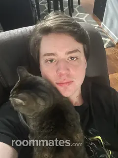 Roommate looking Winchester, VA, $700