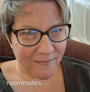 Roommate looking Doylestown, PA, $1100