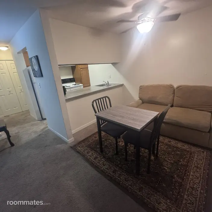 Room for rent in Mount Prospect, IL $650, condo