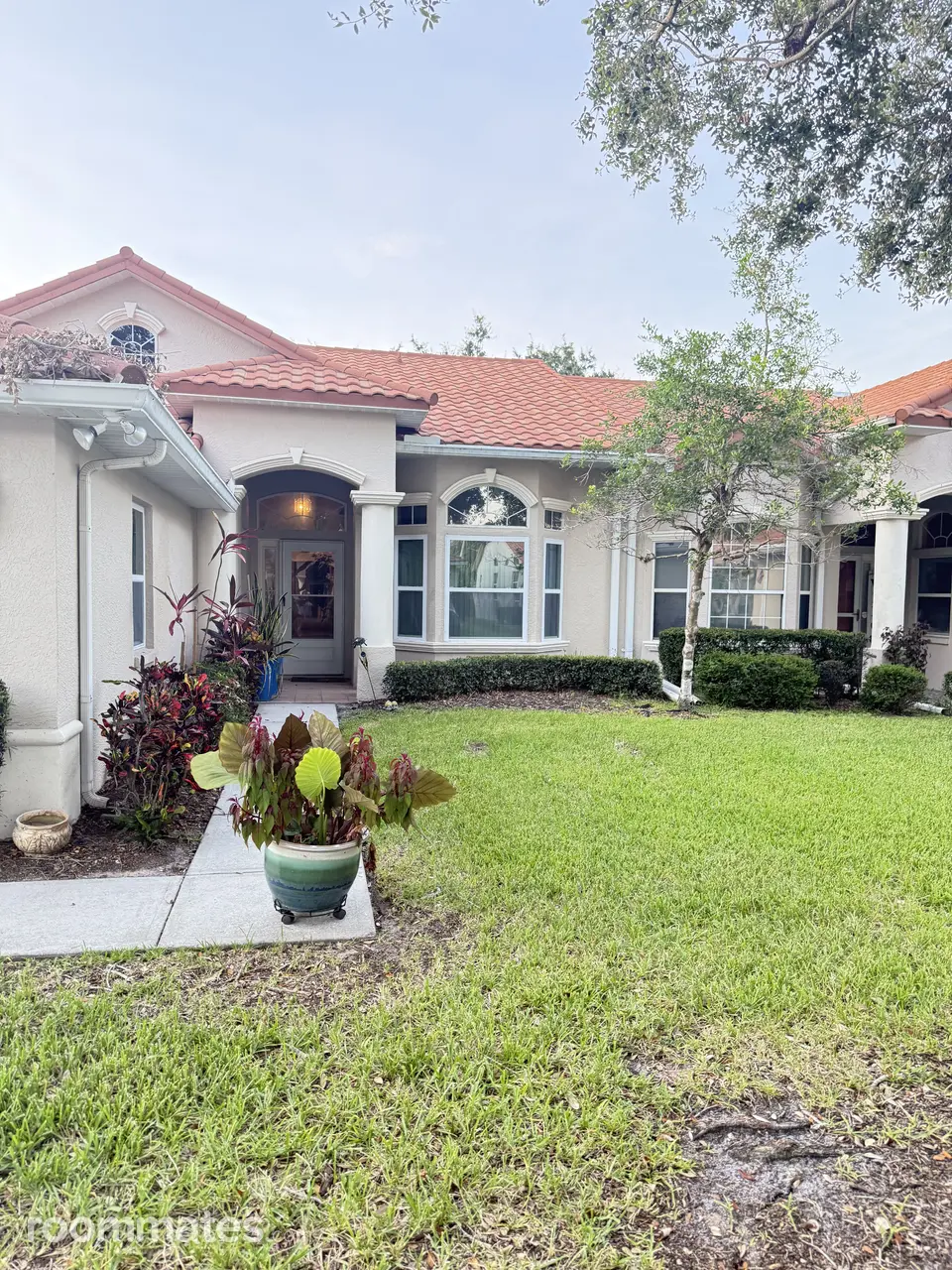Profile photo 10 of 11