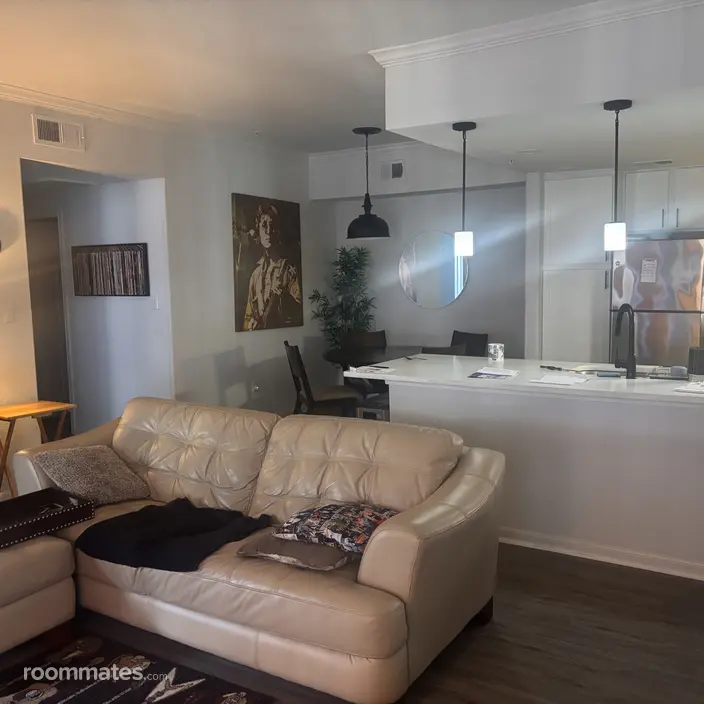 Room for rent in Houston, TX $900, apartment