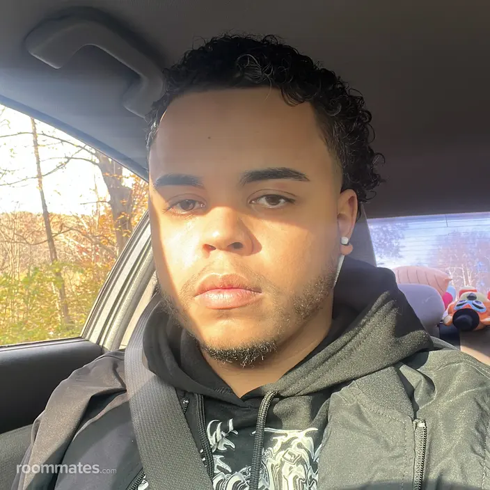 Roommate looking Allentown, PA, $800