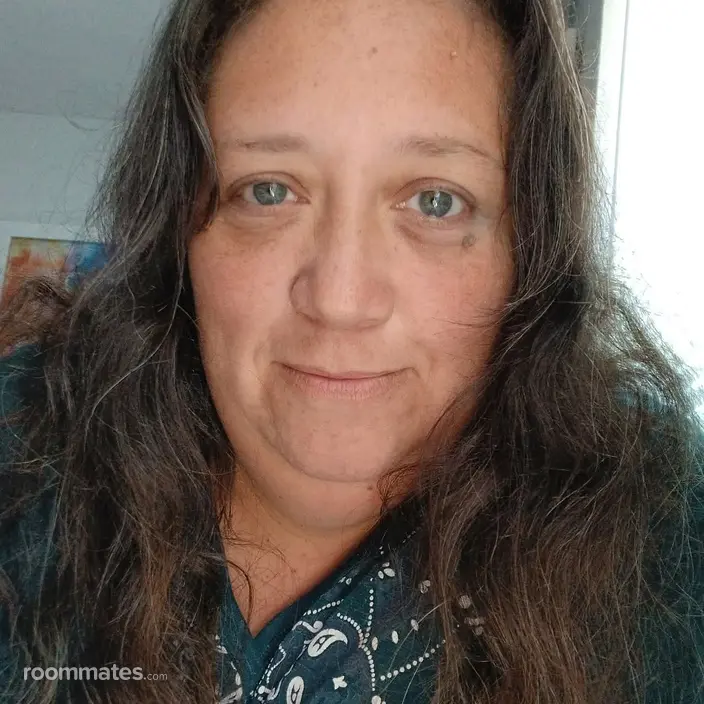 Roommate looking Port Richey, FL, $700