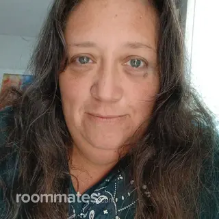 Roommate looking Port Richey, FL, $700