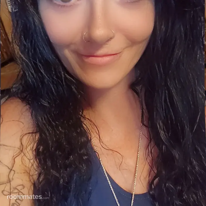 Roommate looking Concord, NH, $1000