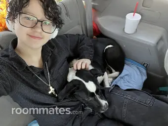 Thumbnail 11
