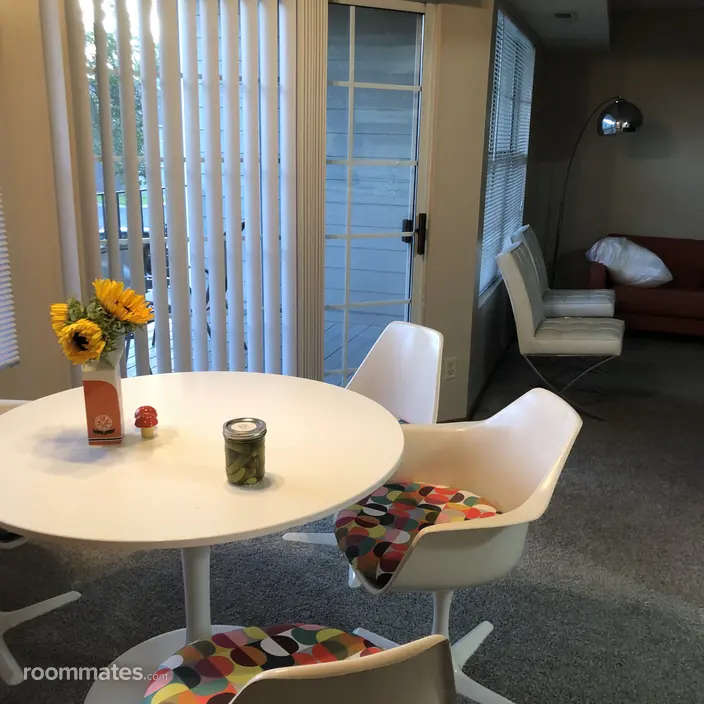 Room for rent in Plymouth, MN $1000, apartment