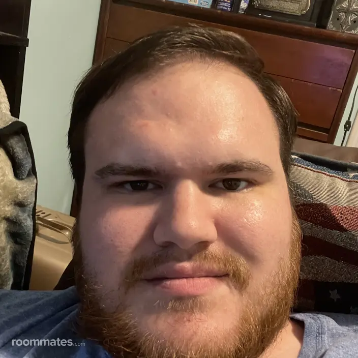 Roommate looking Charlotte, NC, $600