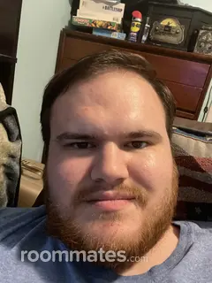 Roommate looking Charlotte, NC, $600
