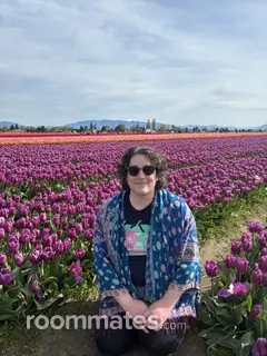 Roommate looking Seattle, WA, $1100