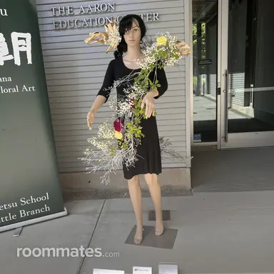 Thumbnail 11